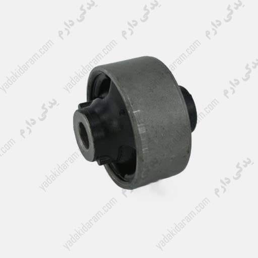 بوش طبق بزرگ جلو قشقایی